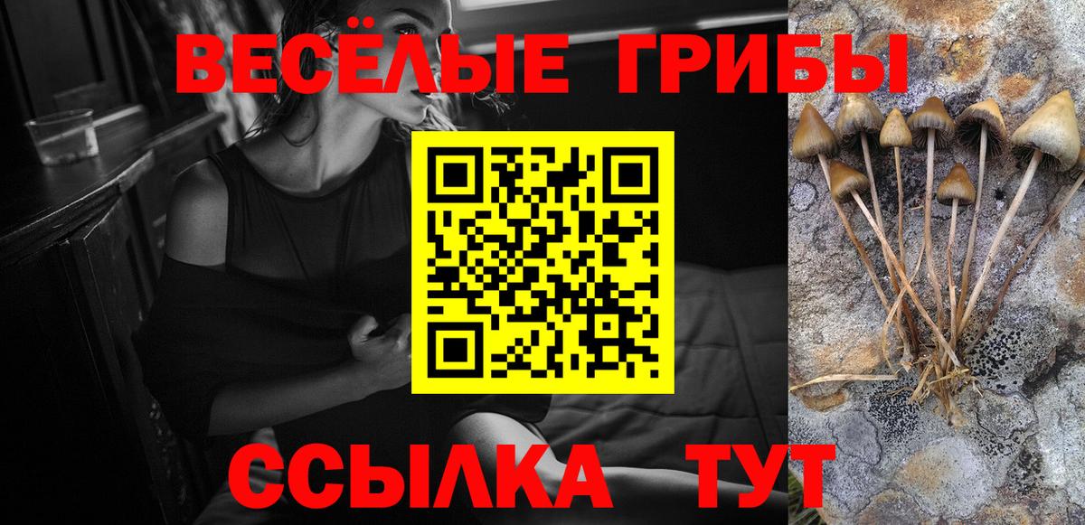 Псилоцибиновые грибы ЛСД Дюртюли